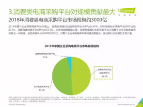 2019年中國企業采購電商市場深度解析 機遇、挑戰與未來趨勢